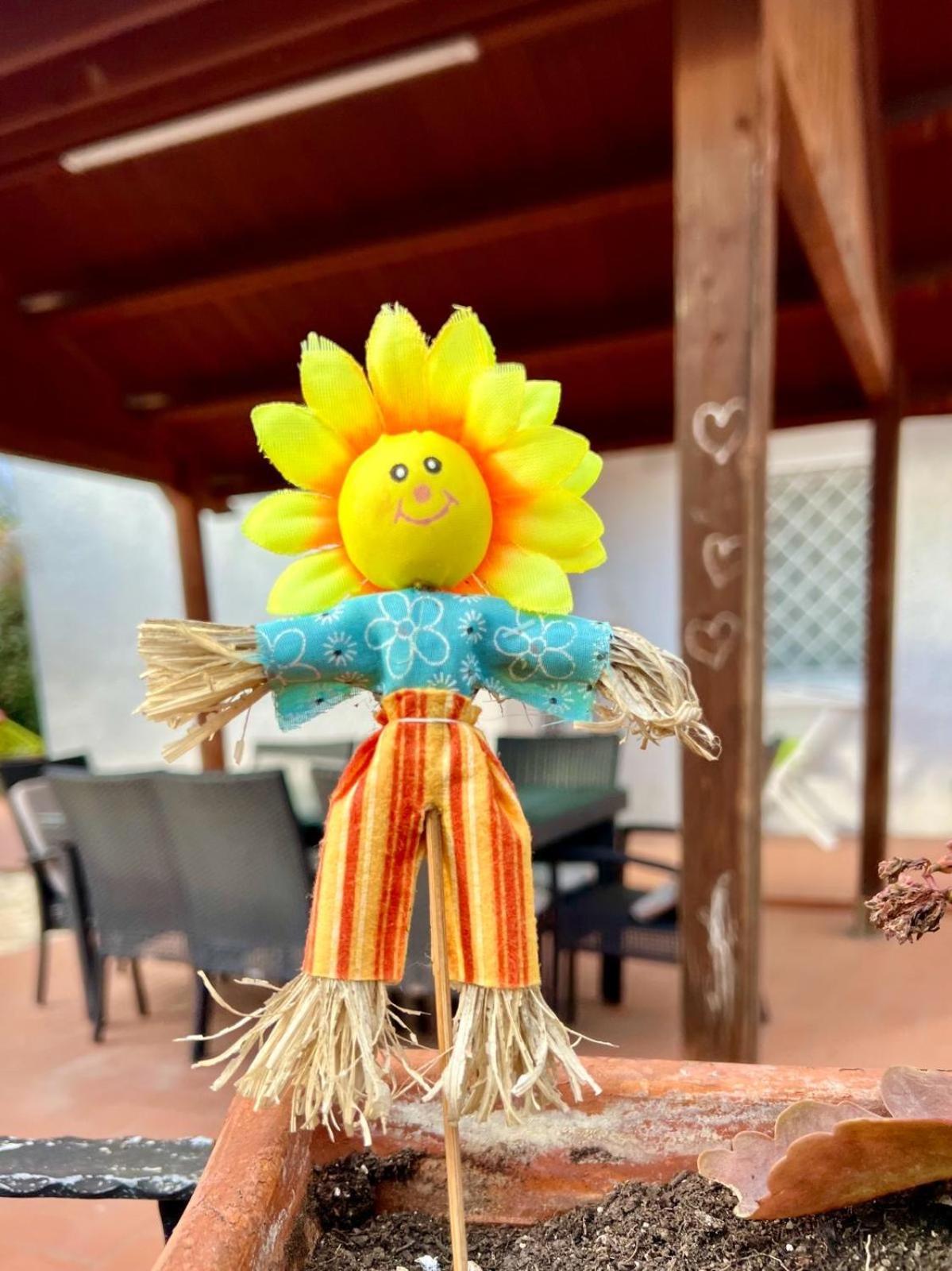 La Casetta Di Marika Marina di Cerveteri エクステリア 写真